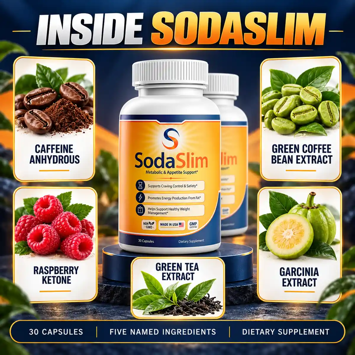 The five botanicals named on the SodaSlim ingredients artwork, with the bottle at the centre